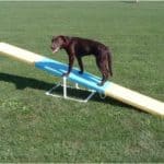 It looks fine to move forward on the plank of a seesaw