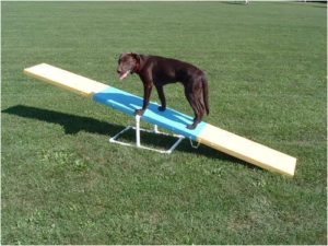 It looks fine to move forward on the plank of a seesaw 