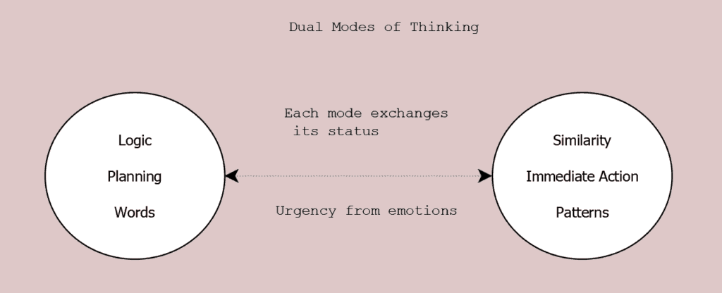 Dual modes of thought. Reflexive and Reflective