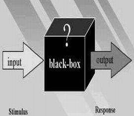 Brain may seem a black box