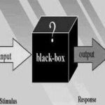 Input enters black box. output exits