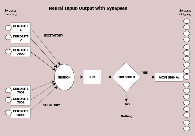 One neuron can have thousands of inputs; however it the summation of add inputs which determines if it sends a message downstream.