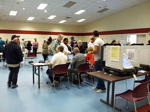 Democracy, voting