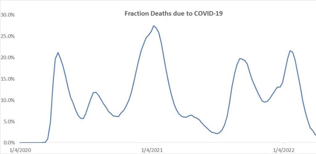 Chart showing the percentage of US deaths due to COVID-19 during the pandemic