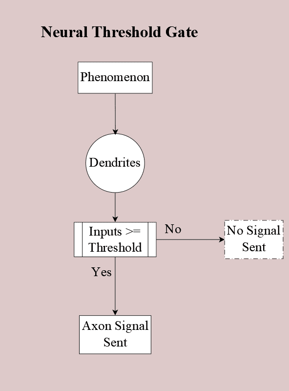 Diagram of input phenomenon arriving at neural dendrites. If the sum of the inputs exceeds the neural threshold the neuron sends its signal. If it doesn't meet the threshold, no signal is sent.