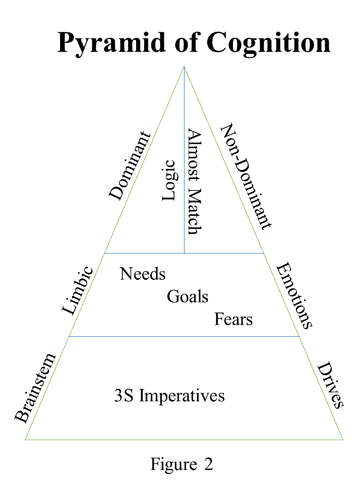 Emotions in Our Thinking